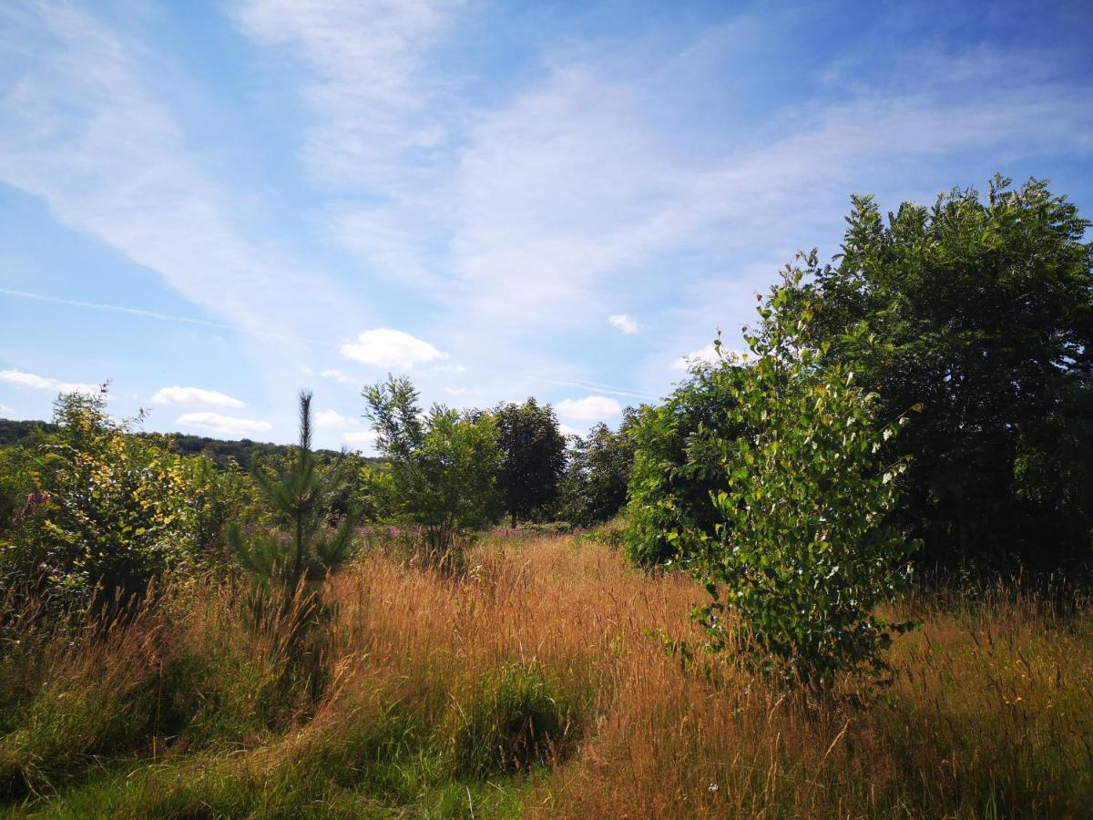 Nature Monchy Campneuseville Εξωτερικό φωτογραφία